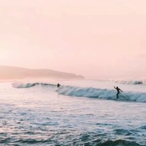 Meet your Posher, Genevieve